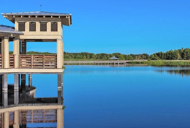 florida-boynton-beach-top-things-to-do-wildlife-green-cay-nature-center - boyntonbeachvacationrental