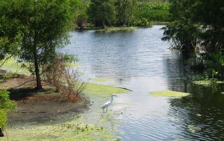 Green Cay Nature Center & Wetlands - boyntonbeachvacationrental